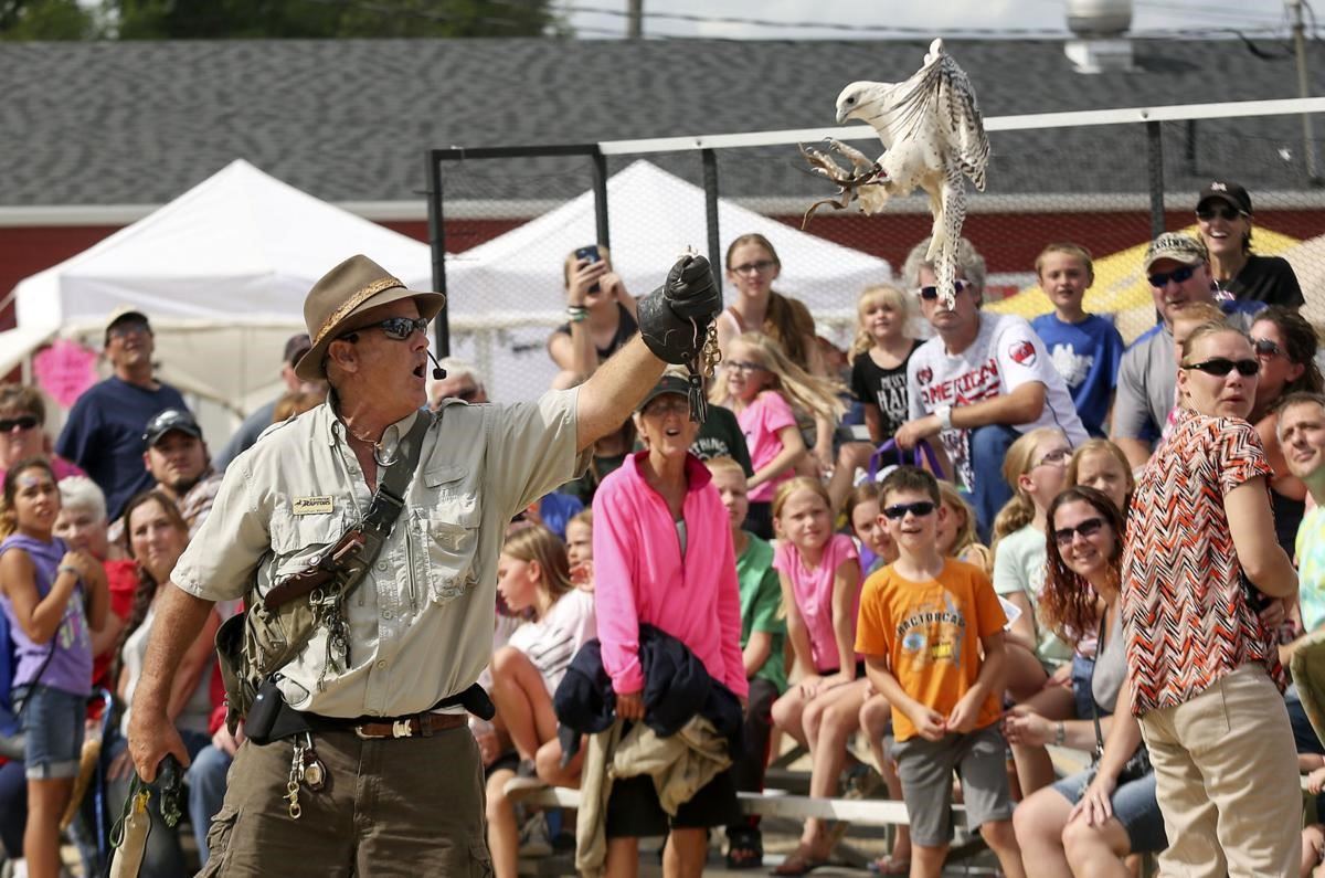 All American Pig Racing